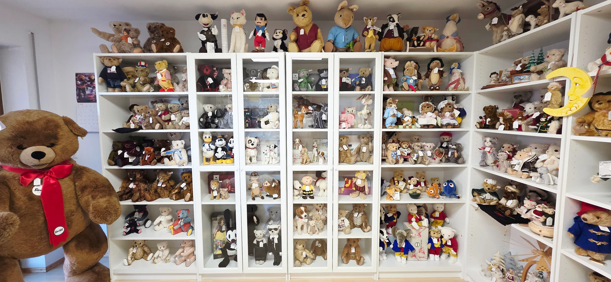Teddy-Sammler Showroom